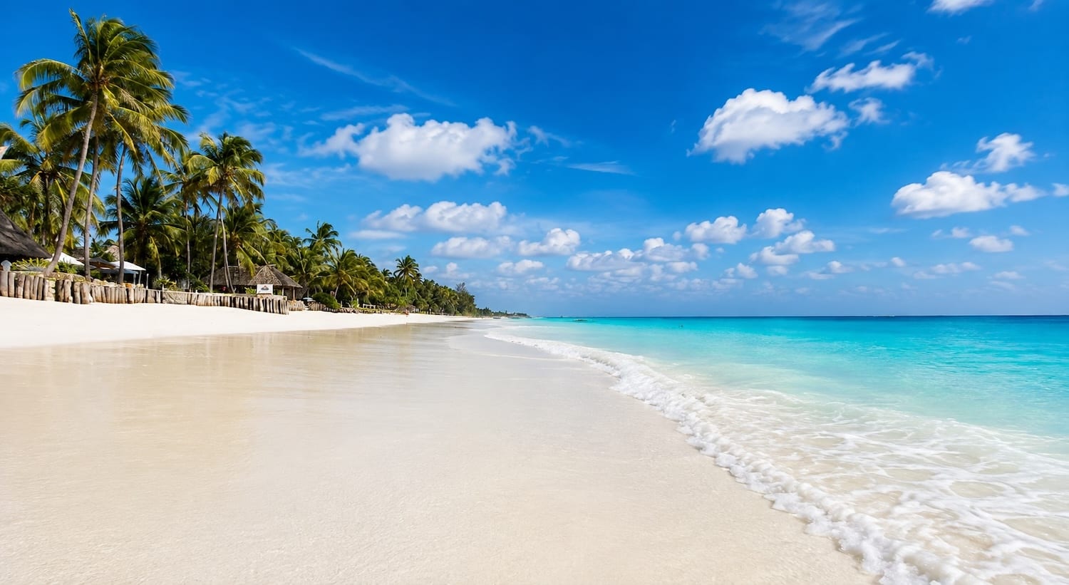 Playa bordeada de cocoteros y aguas turquesas en la costa de Zanzíbar